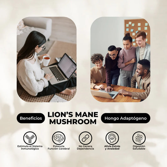 Extracto Hongo Melena de León Karün Life. 30ml