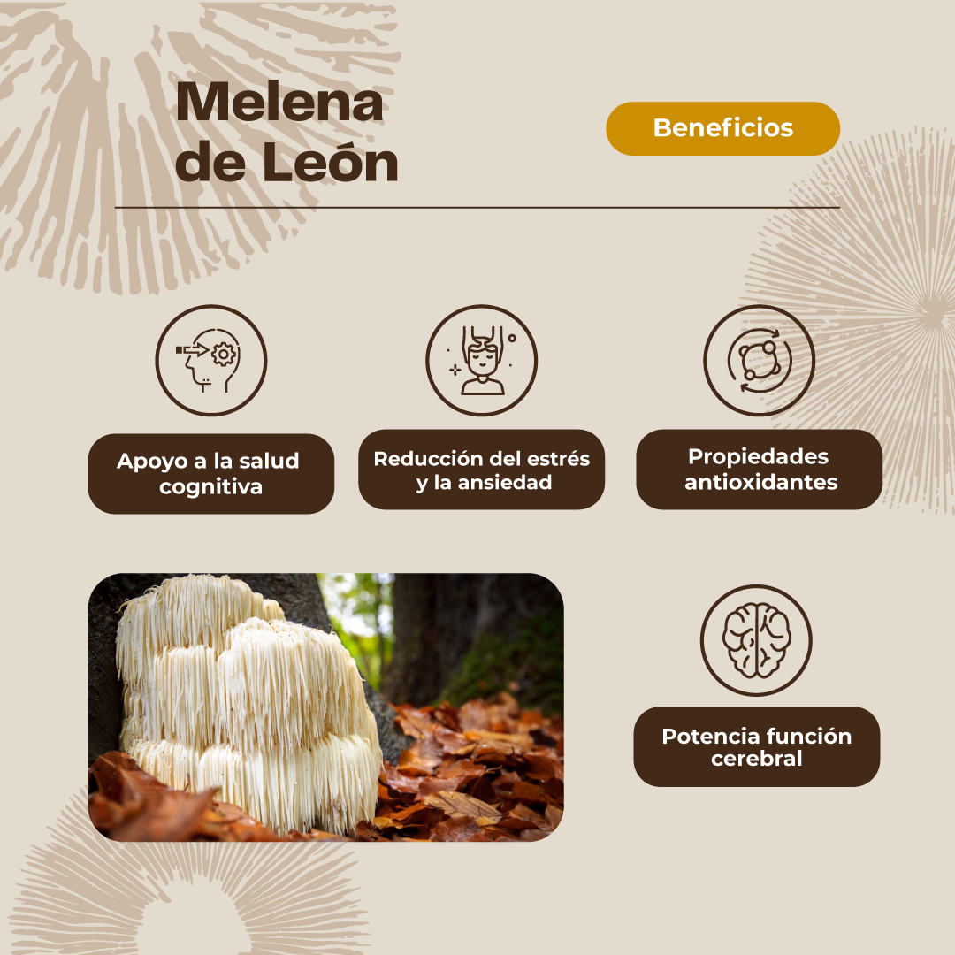 Gomitas Hongo Melena de león Karün Life 60 un