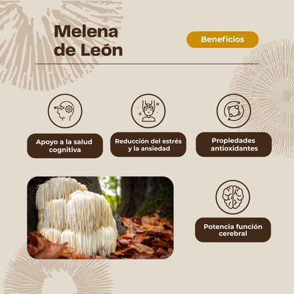 Gomitas Hongo Melena de león Karün Life 60 un